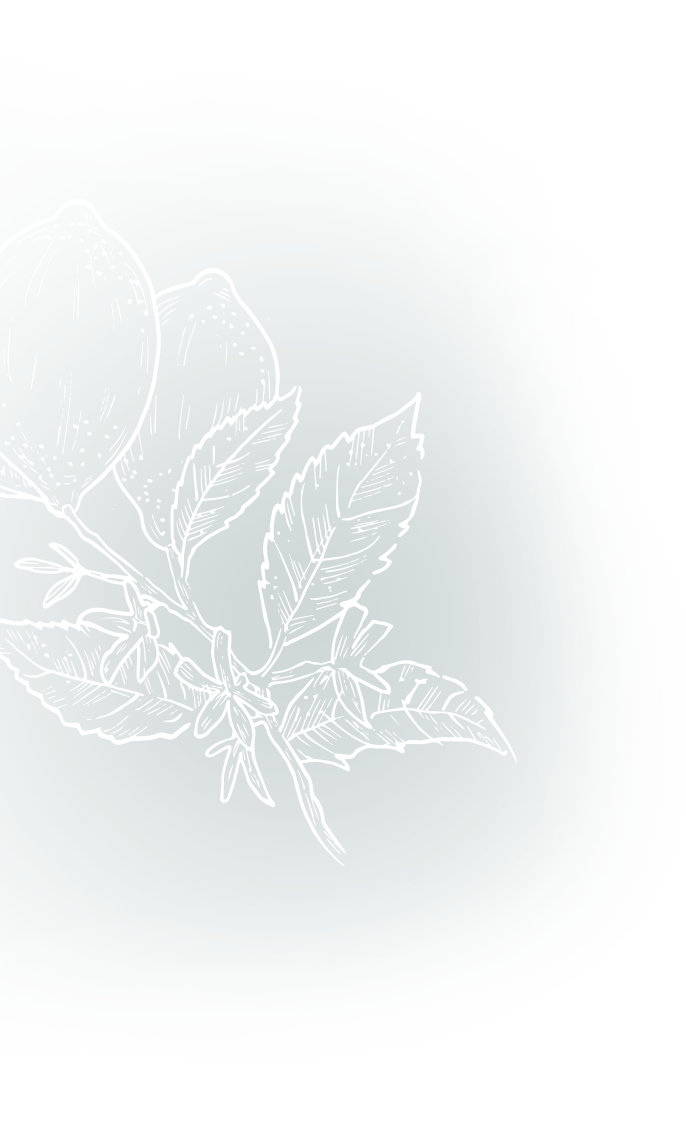 White line drawing of two lemons on a branch with leaves and small blossoms, against an irregular dark teal background.
