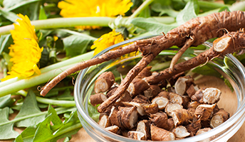 Chopped and whole dandelion roots in a glass bowl, with fresh dandelion leaves and yellow flowers in the background.